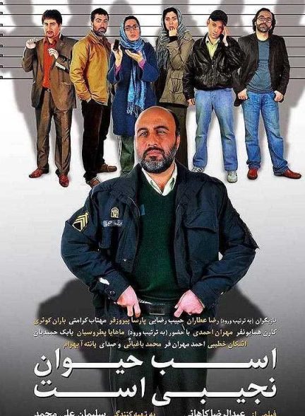 دانلود فیلم اسب حیوان نجیبی است